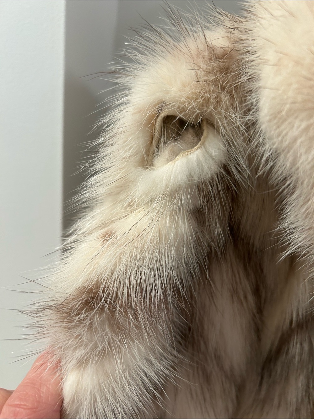 Vintage Full-Length Fur Coat in Blonde Taupe - Picture 5 of 6